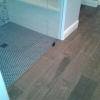 Shower with small hexagonal floor tiles meets bathroom floor with large wood-look rectangular tiles.